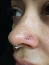 Load image into Gallery viewer, Snake ends - threadless or threaded